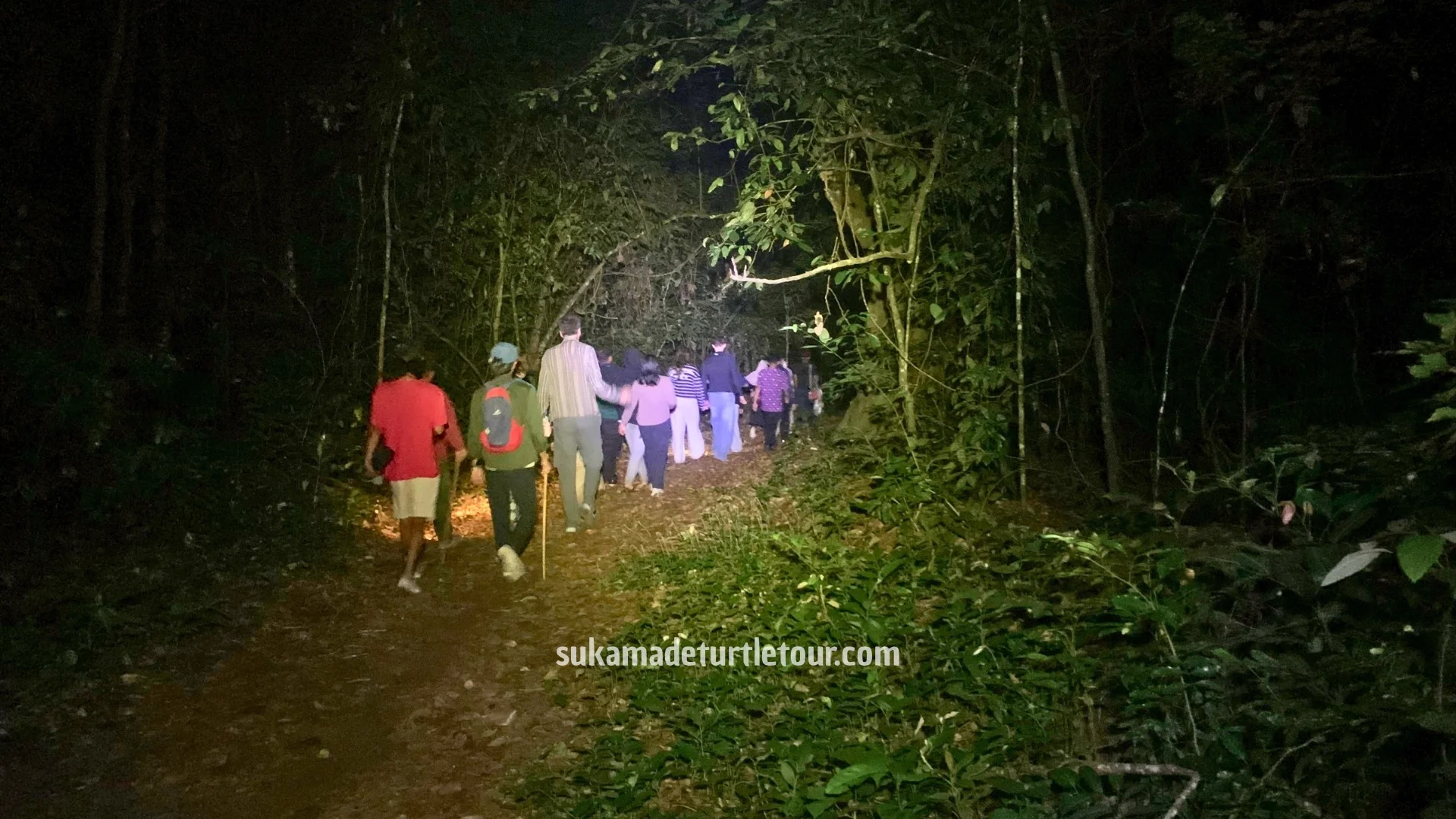 sukamade-turtle-conservation